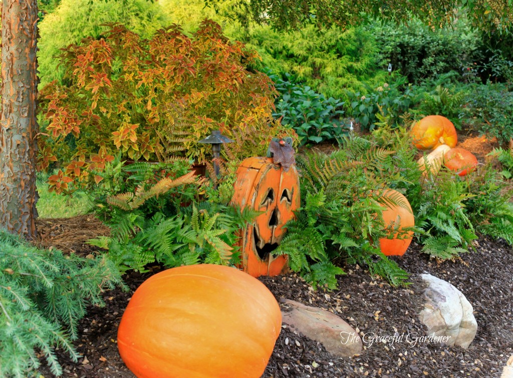 largepumpkins