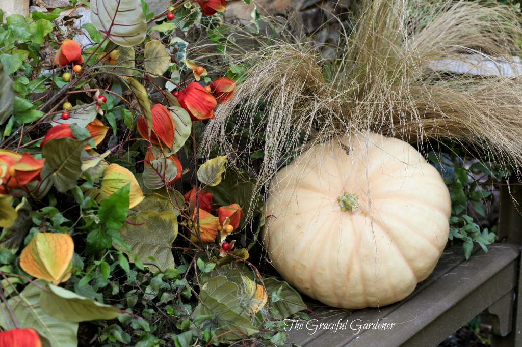 pumpkinbench