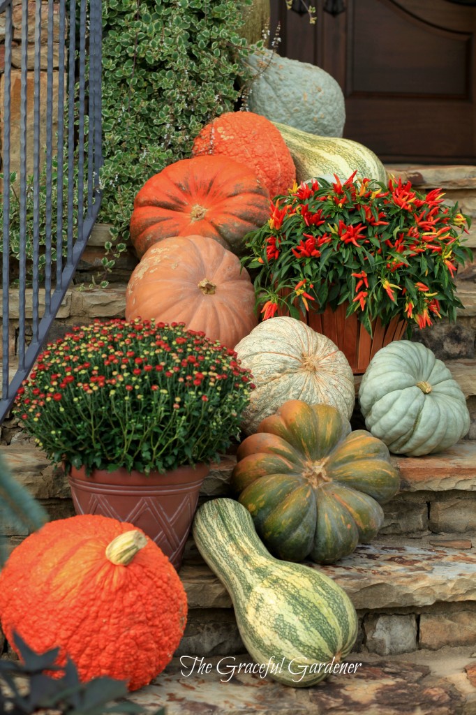 Pumpkin Spills adorning my front entrance.