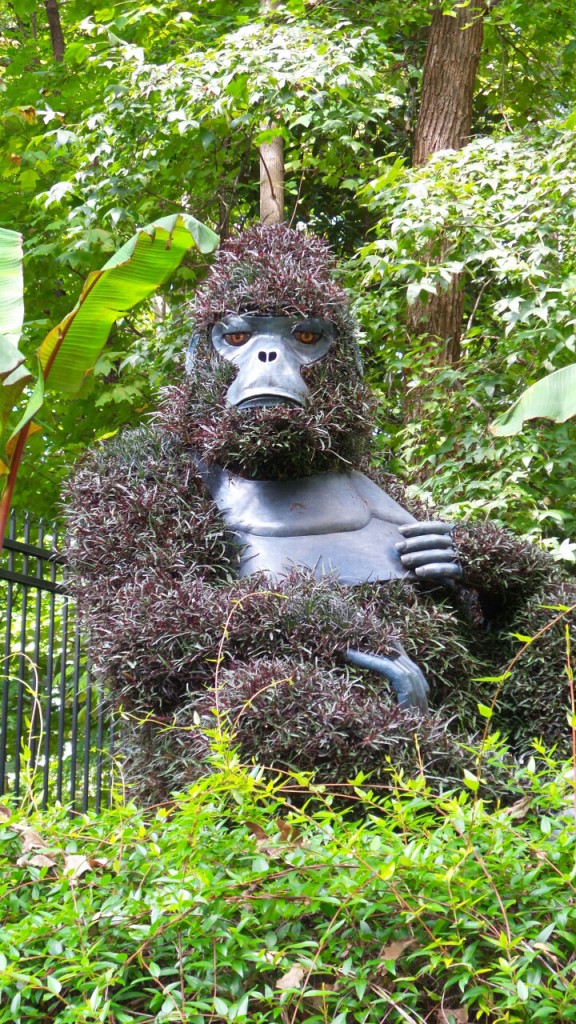 Gorilla