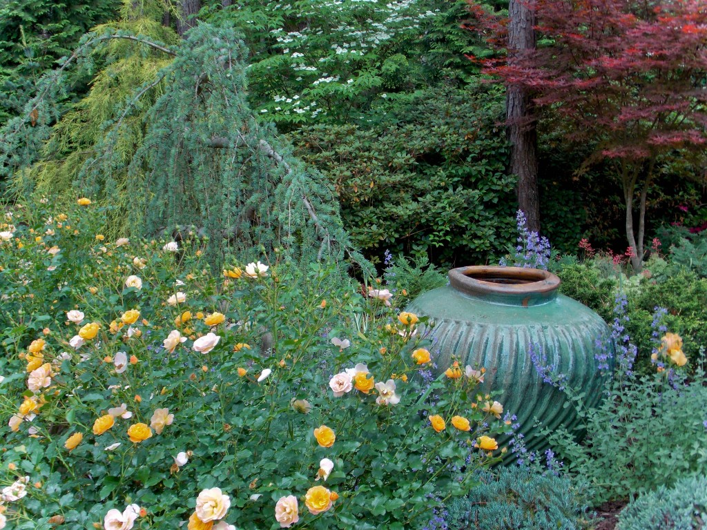 Amber Flower Carpet rose